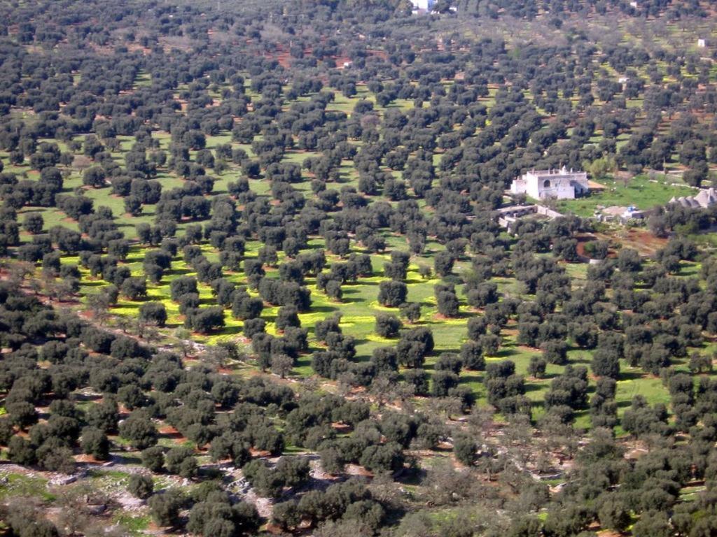 I Trulli Di Acquarossa Aparthotel Cisternino Luaran gambar